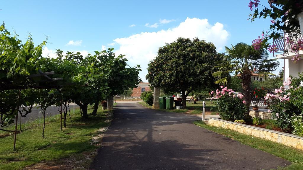 Apartment Samanta Novigrad Istria Eksteriør bilde